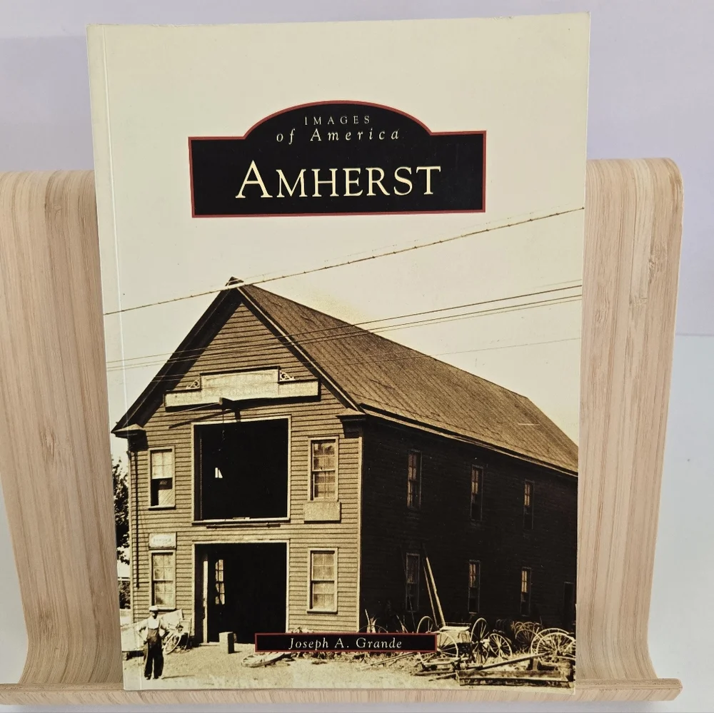 Amherst Images of America Joseph A Grande 2004 Arcadia PB New York State -VG